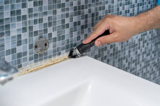 Best Mold Damage Repair  in Charleston, IL