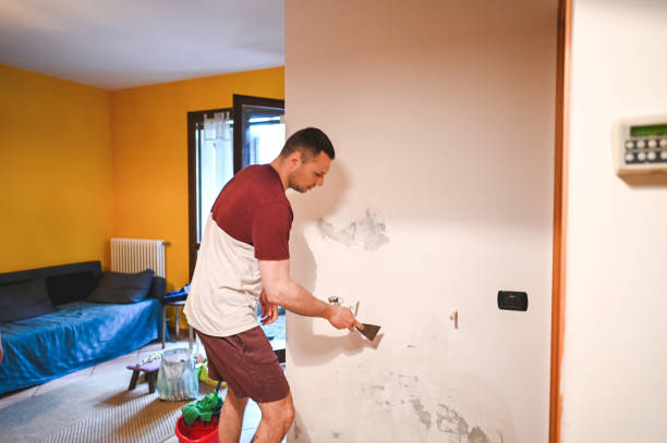 Best Affordable Mold Removal  in Charleston, IL